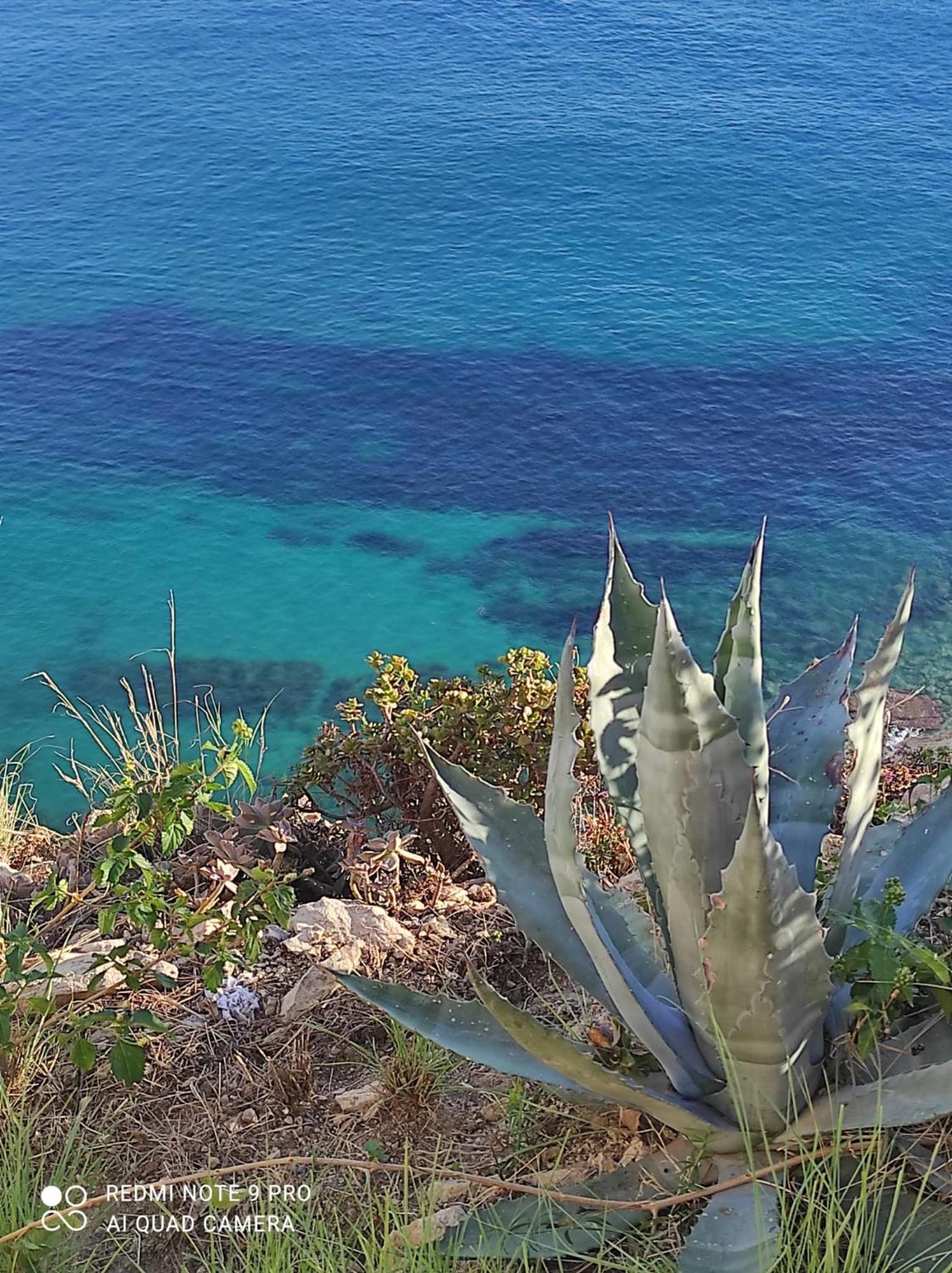 Vila L'Aunisa El Campello Exteriér fotografie